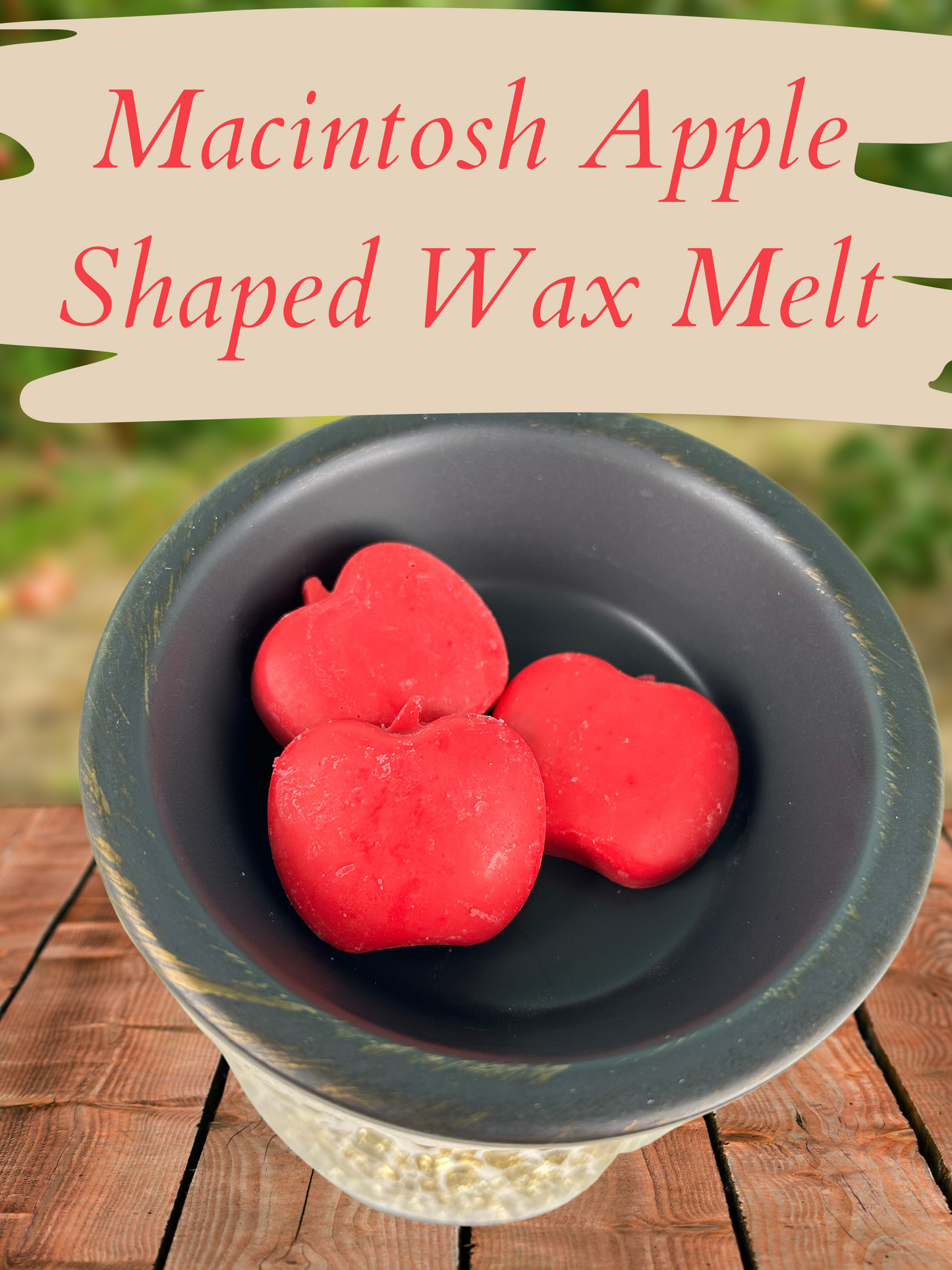 Fruity Loops Wax Melts / Food Shaped Wax Melts 