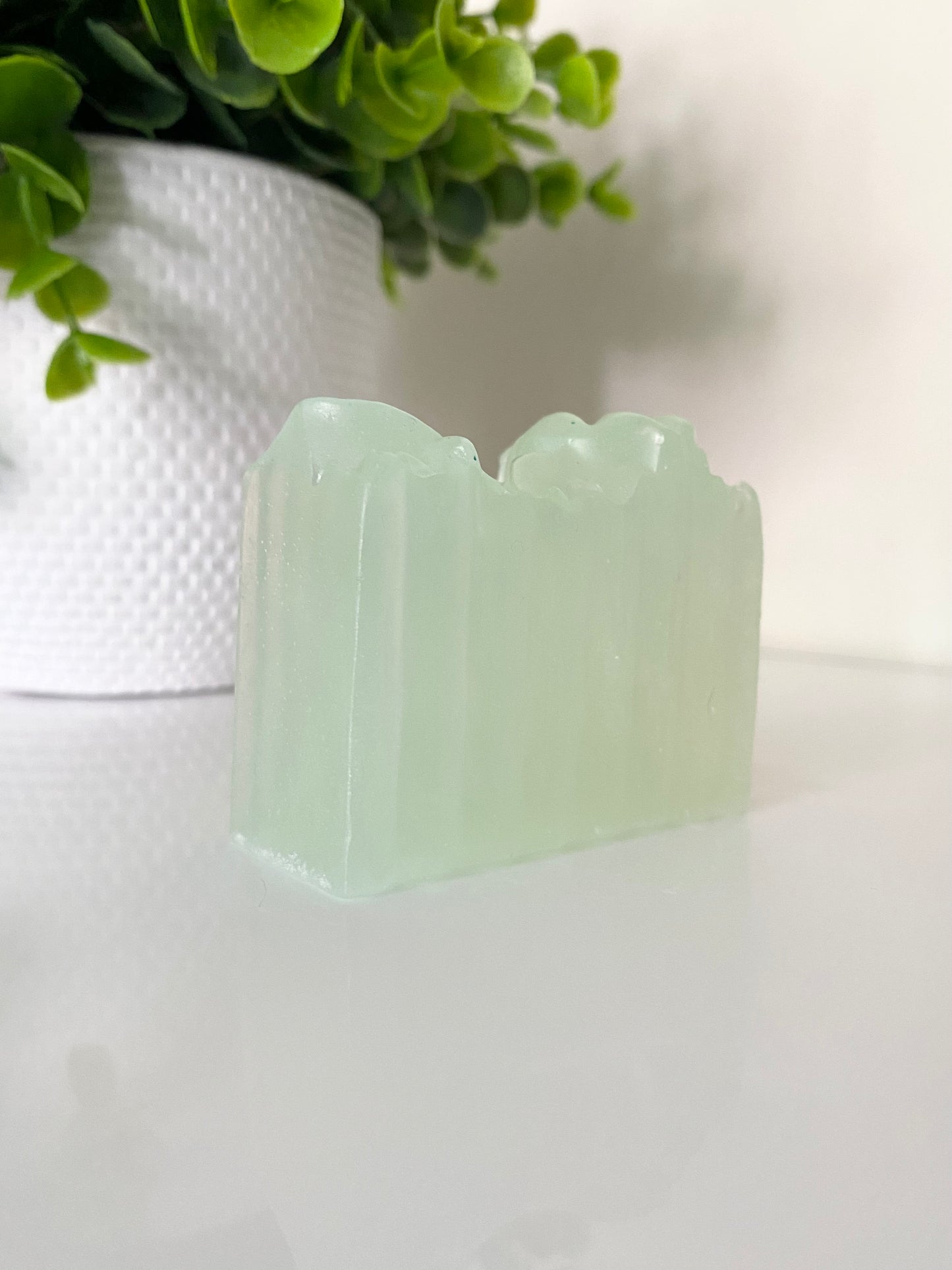 Cucumber Melon Shave Bar