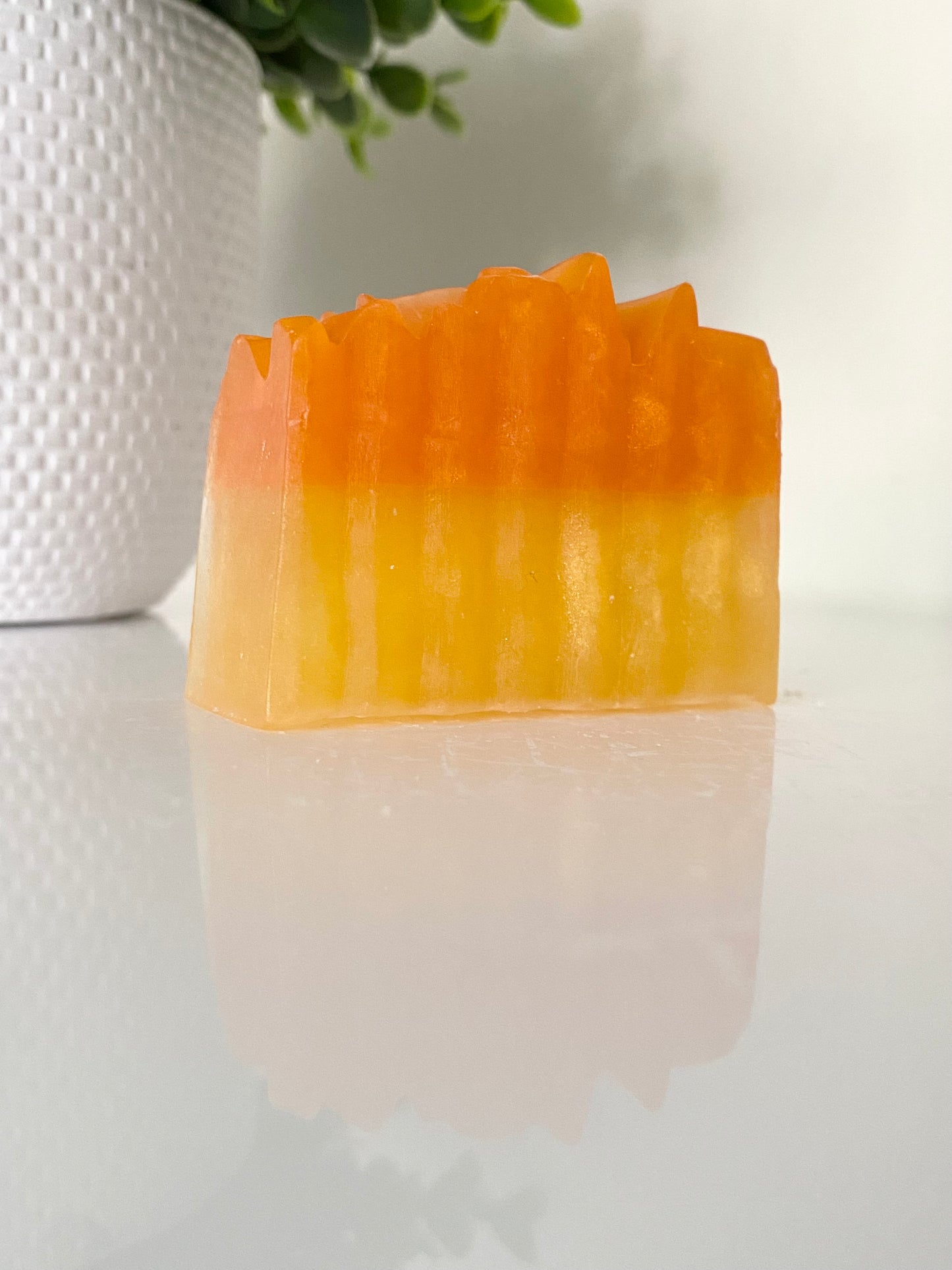 Coconut Mango Shave Bar